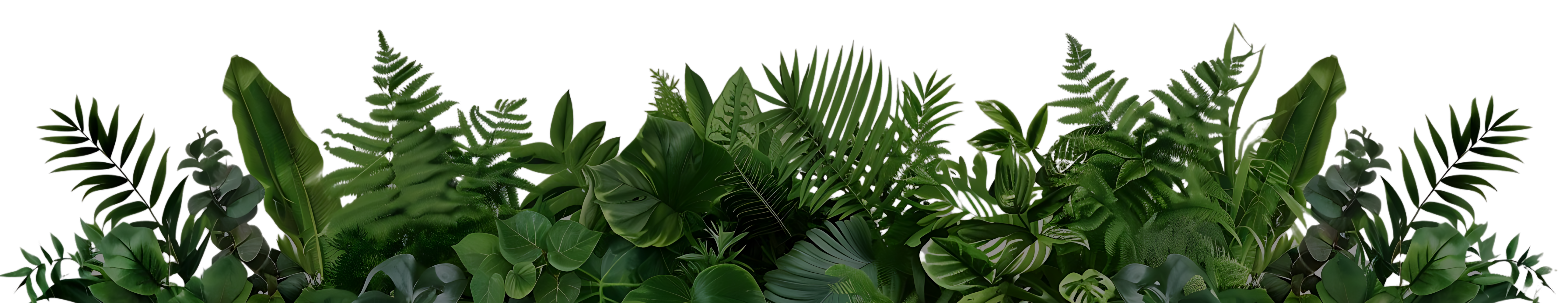 Decoratieve rand bovenaan